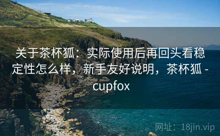 关于茶杯狐：实际使用后再回头看稳定性怎么样，新手友好说明，茶杯狐 - cupfox