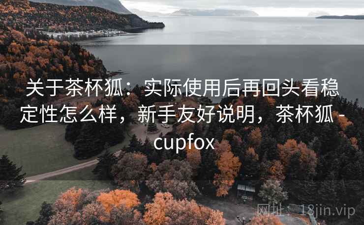 关于茶杯狐：实际使用后再回头看稳定性怎么样，新手友好说明，茶杯狐 - cupfox