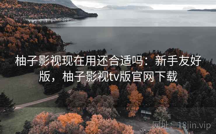 柚子影视现在用还合适吗：新手友好版，柚子影视tv版官网下载