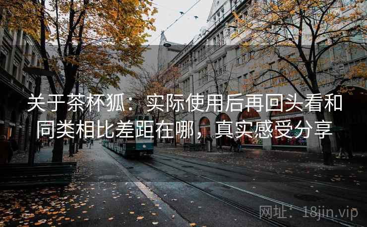 关于茶杯狐：实际使用后再回头看和同类相比差距在哪，真实感受分享